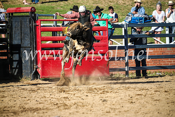 CoomaRodeo2017_2606
