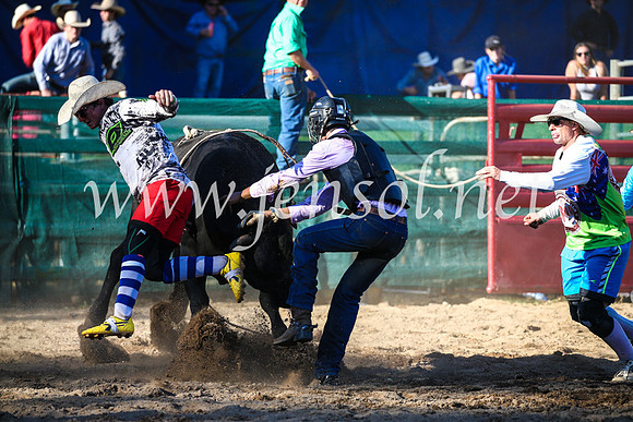 CoomaRodeo2017_2689