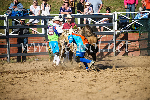 CoomaRodeo2017_2614