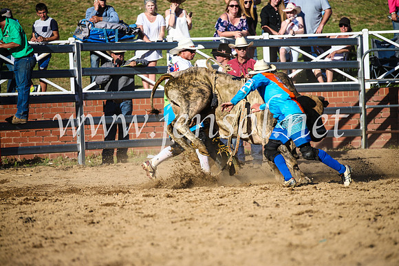 CoomaRodeo2017_2611