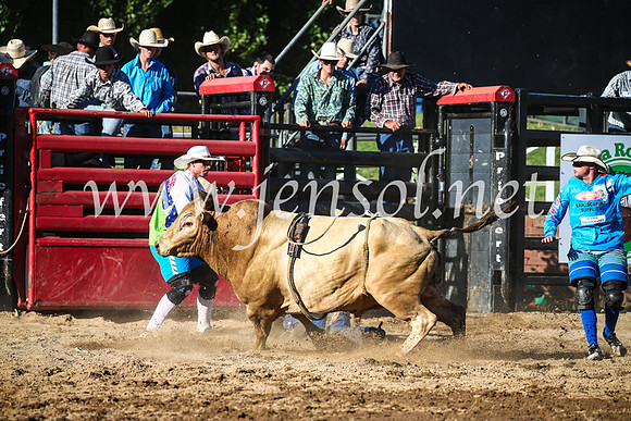 CoomaRodeo2017_2374
