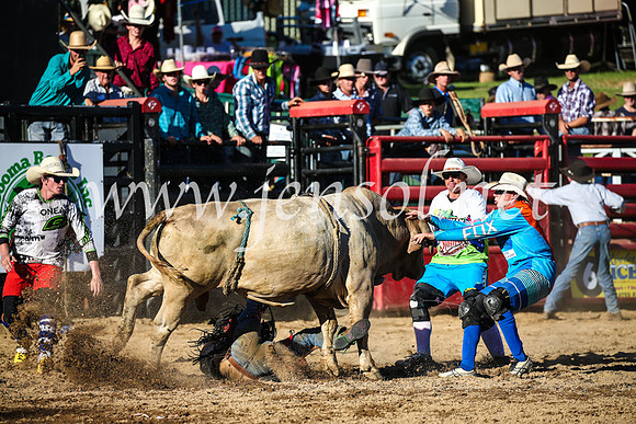 CoomaRodeo2017_2872