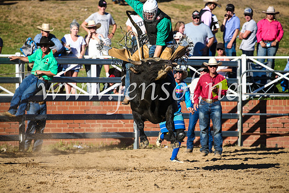 CoomaRodeo2017_2771