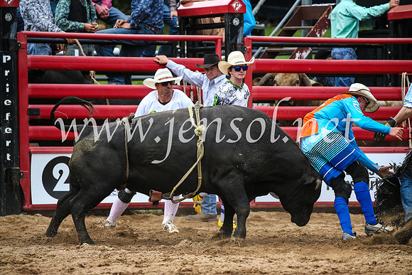 CoomaRodeo2017_1714