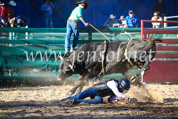 CoomaRodeo2017_2678