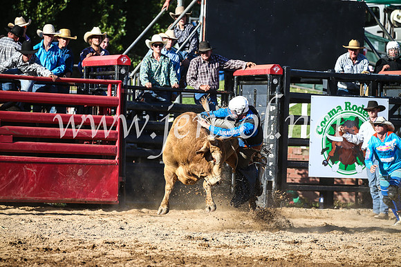 CoomaRodeo2017_2363