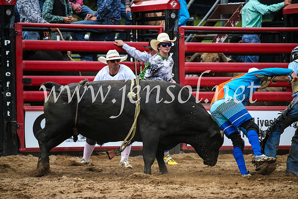 CoomaRodeo2017_1713