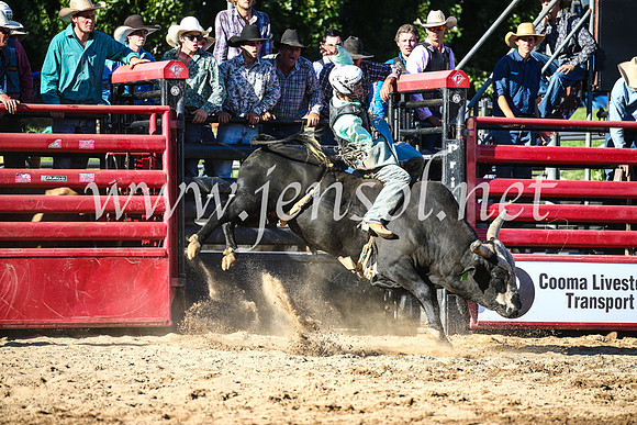 CoomaRodeo2017_2401