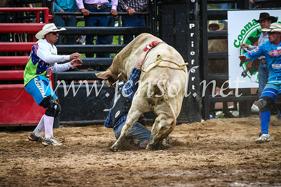 CoomaRodeo2017_1836
