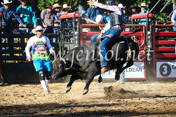 CoomaRodeo2017_2642