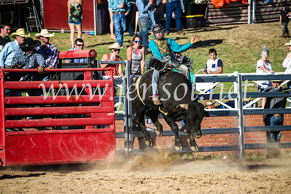 CoomaRodeo2017_2817