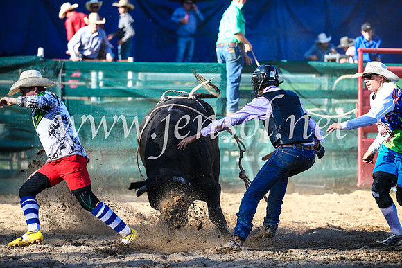 CoomaRodeo2017_2686