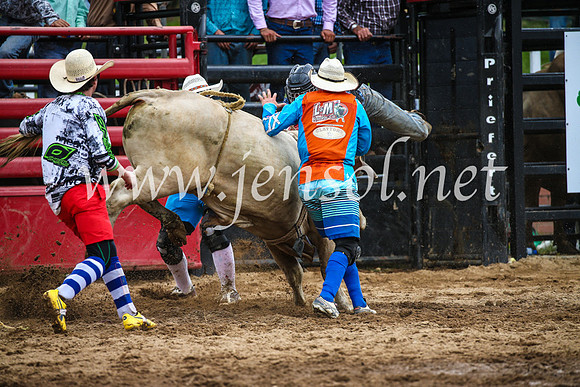 CoomaRodeo2017_1868