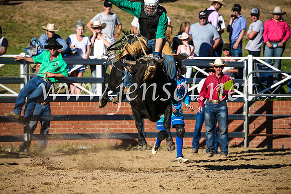 CoomaRodeo2017_2767