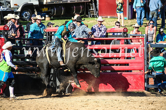 CoomaRodeo2017_2793