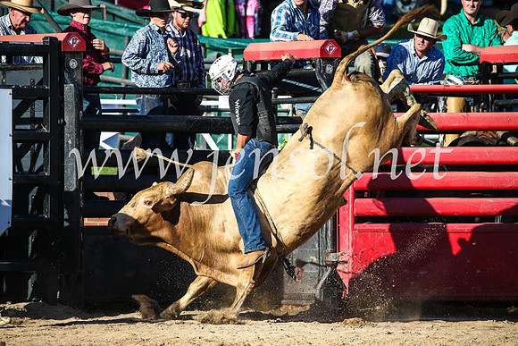 CoomaRodeo2017_2511
