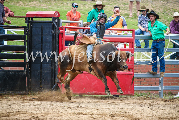 CoomaRodeo2017_1736