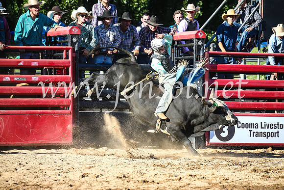 CoomaRodeo2017_2399