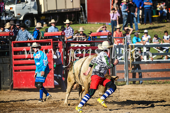 CoomaRodeo2017_2889