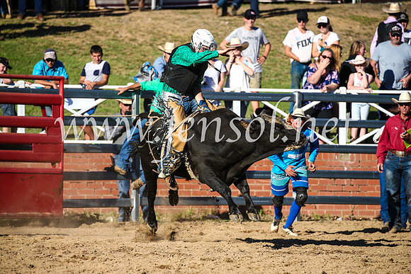 CoomaRodeo2017_2774