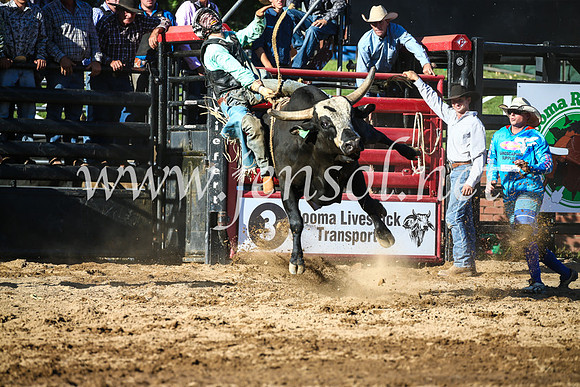 CoomaRodeo2017_2436