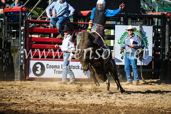 CoomaRodeo2017_2705