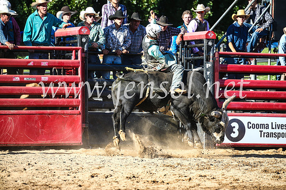 CoomaRodeo2017_2400