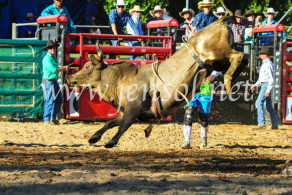 CoomaRodeo2017_9338