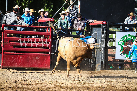 CoomaRodeo2017_2367