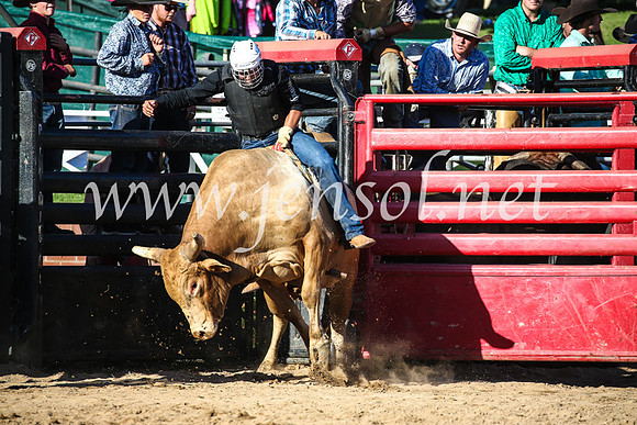 CoomaRodeo2017_2513
