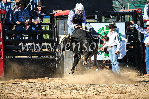 CoomaRodeo2017_2745