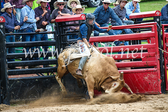 CoomaRodeo2017_1781