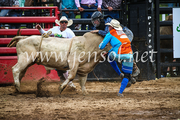 CoomaRodeo2017_1849