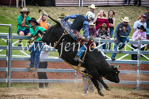 CoomaRodeo2017_1762