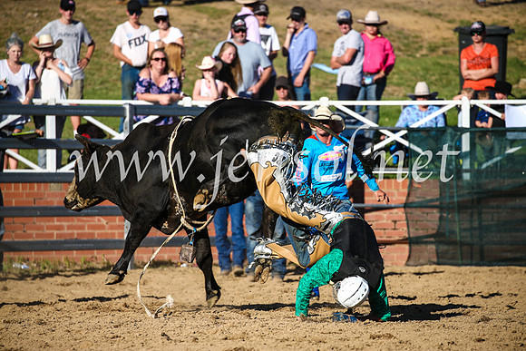 CoomaRodeo2017_2780