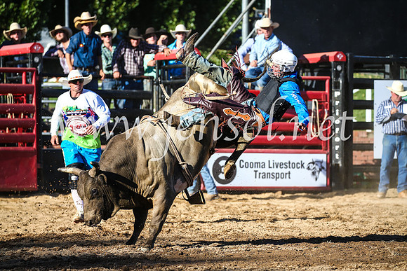 CoomaRodeo2017_2706