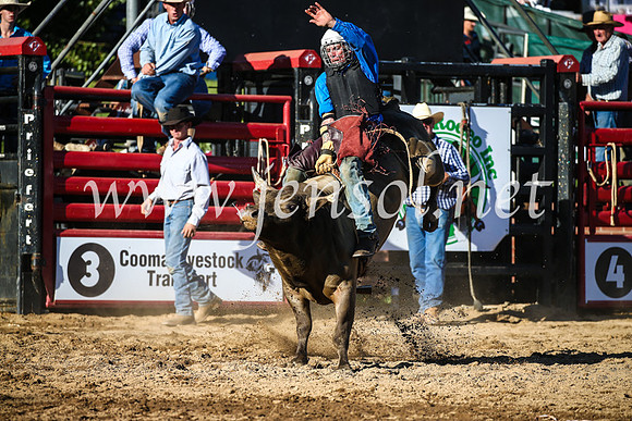 CoomaRodeo2017_2694