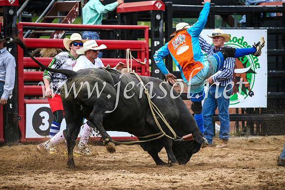 CoomaRodeo2017_1726