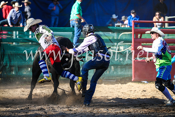 CoomaRodeo2017_2672
