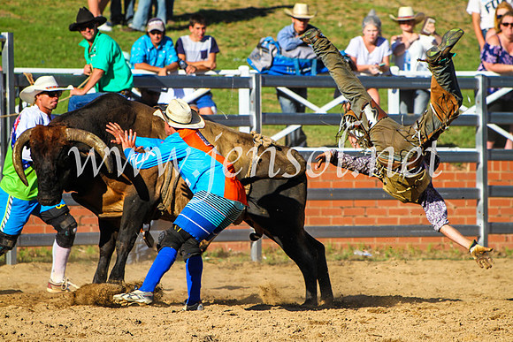 CoomaRodeo2017_9304