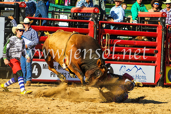 CoomaRodeo2017_9274