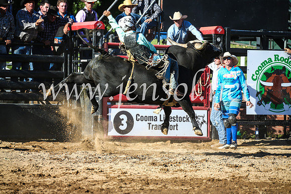 CoomaRodeo2017_2417