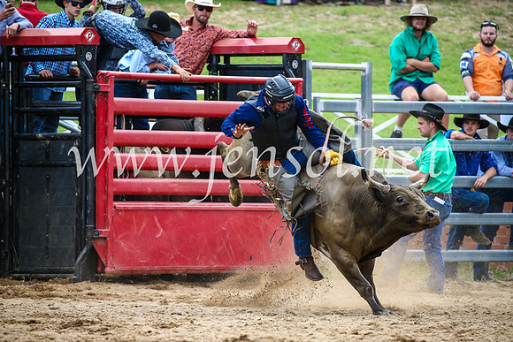 CoomaRodeo2017_1544