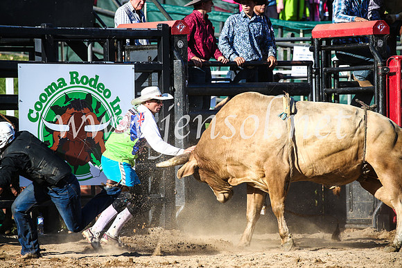 CoomaRodeo2017_2534
