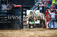 CoomaRodeo2017_1627