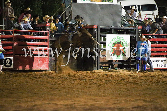 CoomaRodeo2017_4559