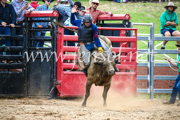 CoomaRodeo2017_1531