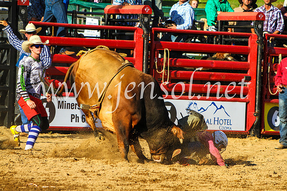 CoomaRodeo2017_9275