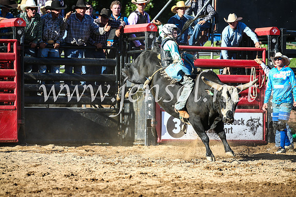CoomaRodeo2017_2425