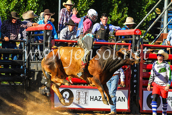 CoomaRodeo2017_9262